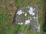 image of grave number 589078